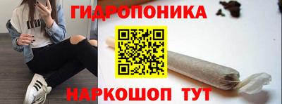 сатива Тула