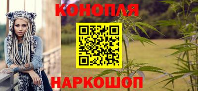 сатива Тула
