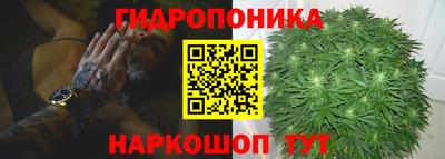 ПСИЛОЦИБИНОВЫЕ ГРИБЫ Тулун